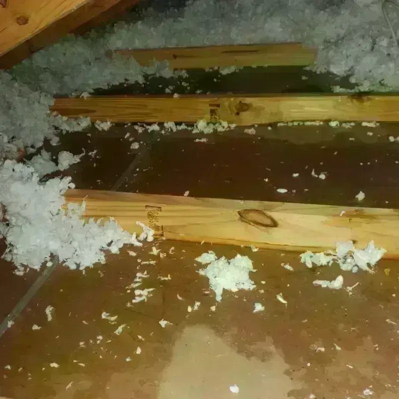 Attic Water Damage in Crawford County, WI