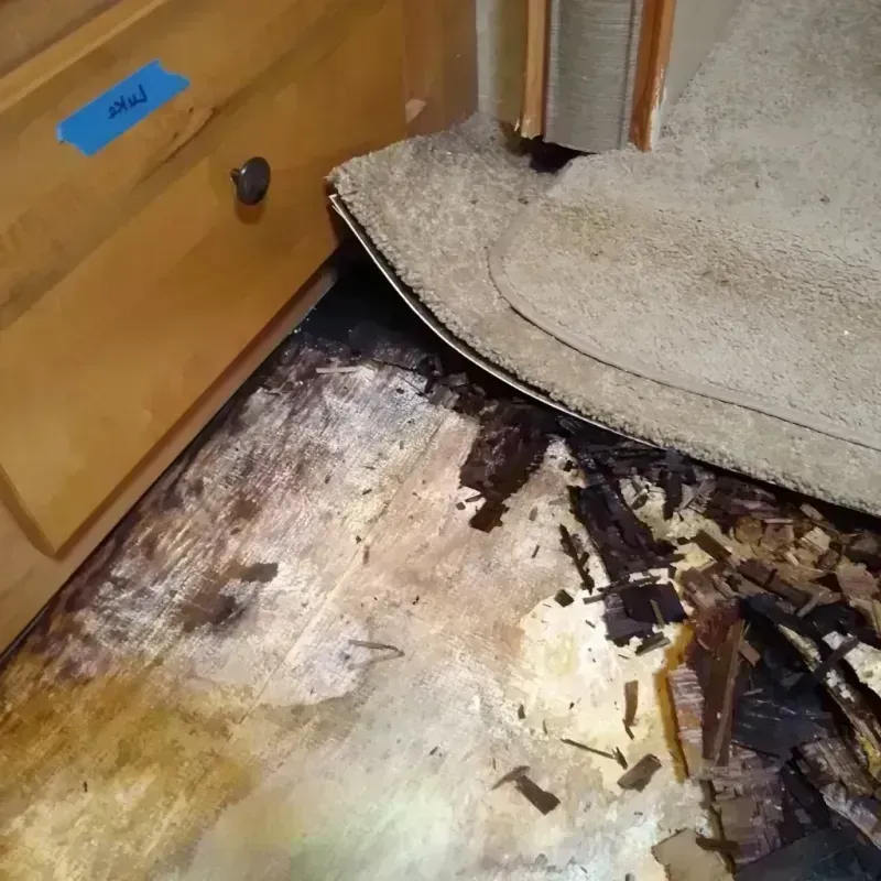 Wood Floor Water Damage in Crawford County, WI